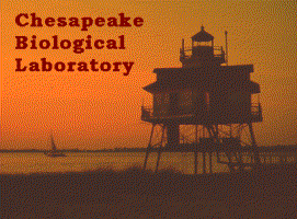Chesapeake Biological Laboratory